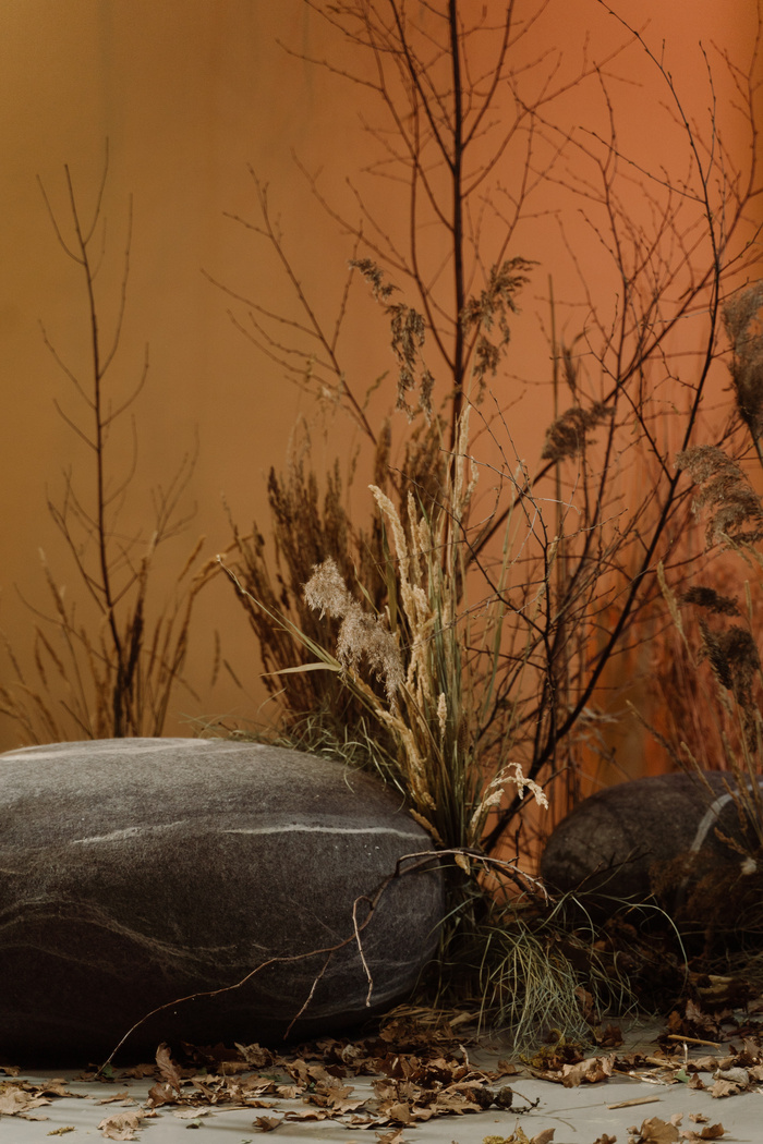 Dried Plants Beside the Gray Rocks 