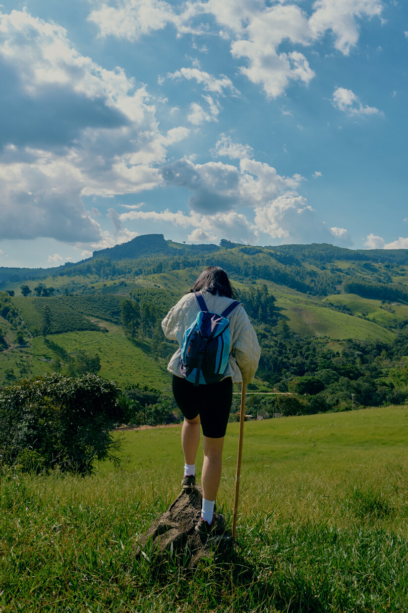 Adventure Travel: Tree Climbing Person on a Hike