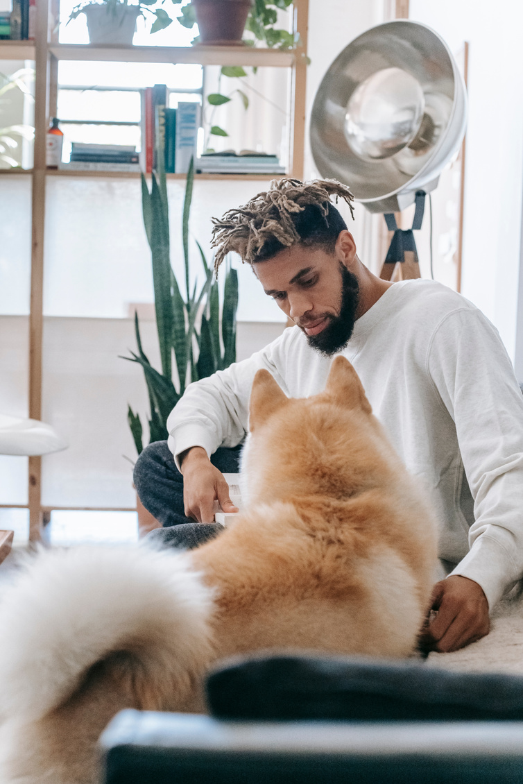 Cute dog lying on sofa with owner